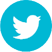 Twitter, the original and best bird logo